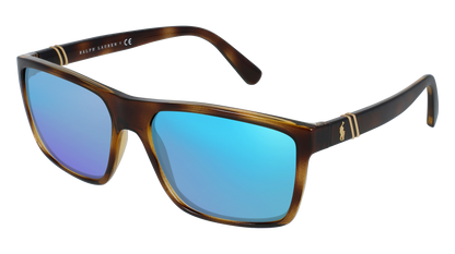 Shiny Transparent Dark Havana, Blue-Mirrored