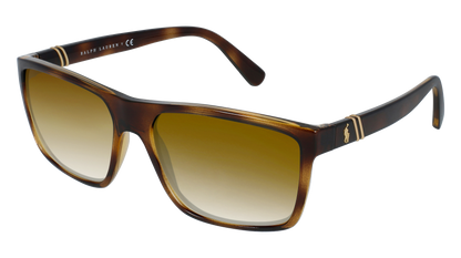 Shiny Transparent Dark Havana, Brown Gradient