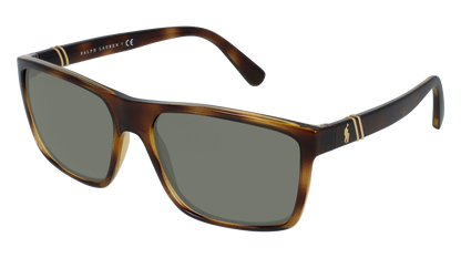 Shiny Transparent Dark Havana, Green