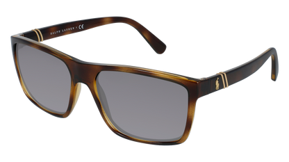 Shiny Transparent Dark Havana, Grey