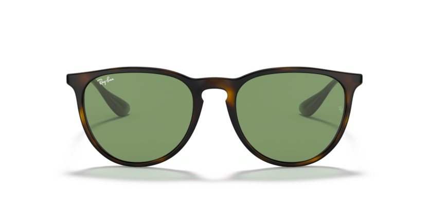 RayBan RB4171 Erika