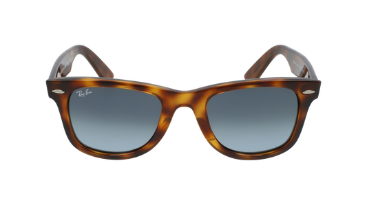 RayBan RB4340 WAYFARER EASE