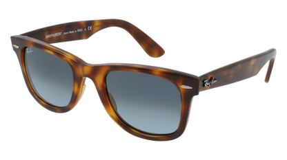 RayBan RB4340 WAYFARER EASE