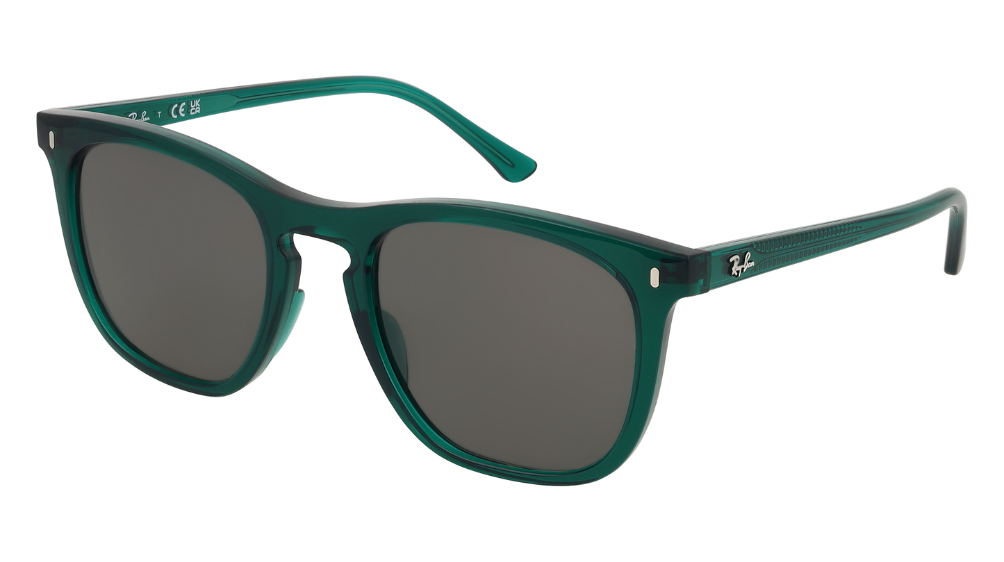 RayBan RB2210