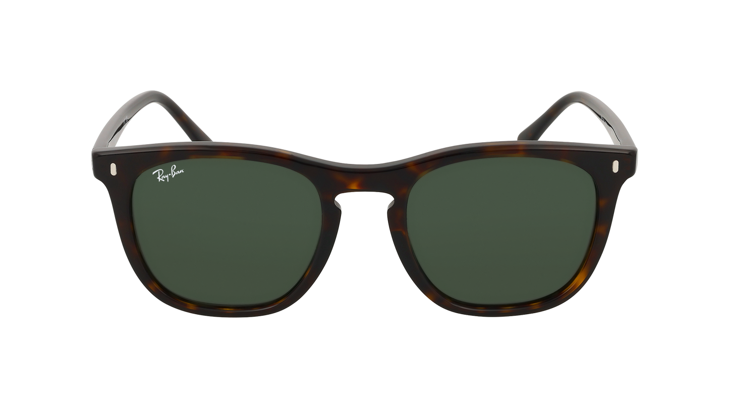 RayBan RB2210
