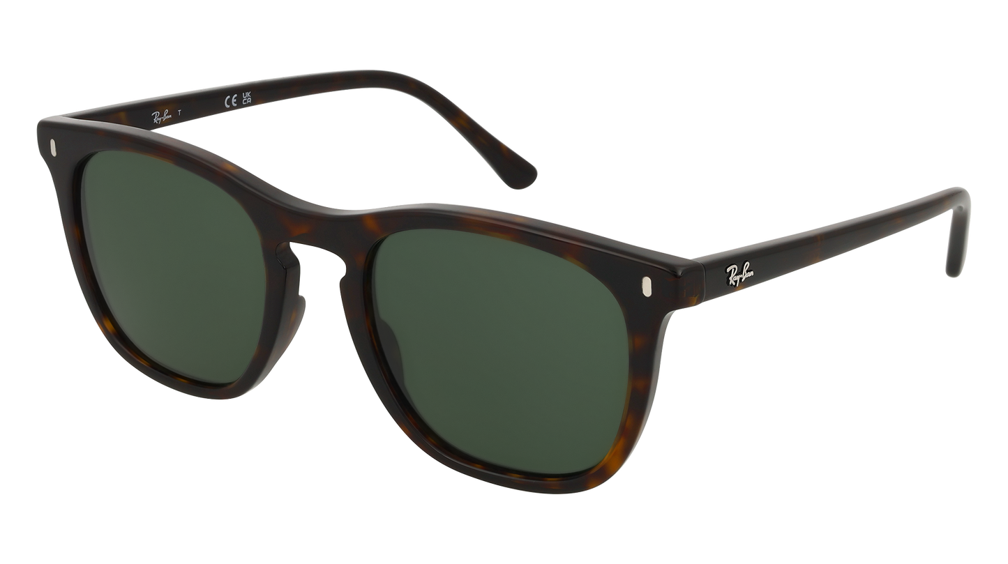 RayBan RB2210