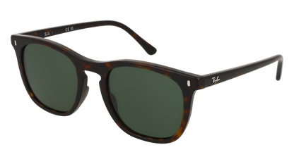 RayBan RB2210
