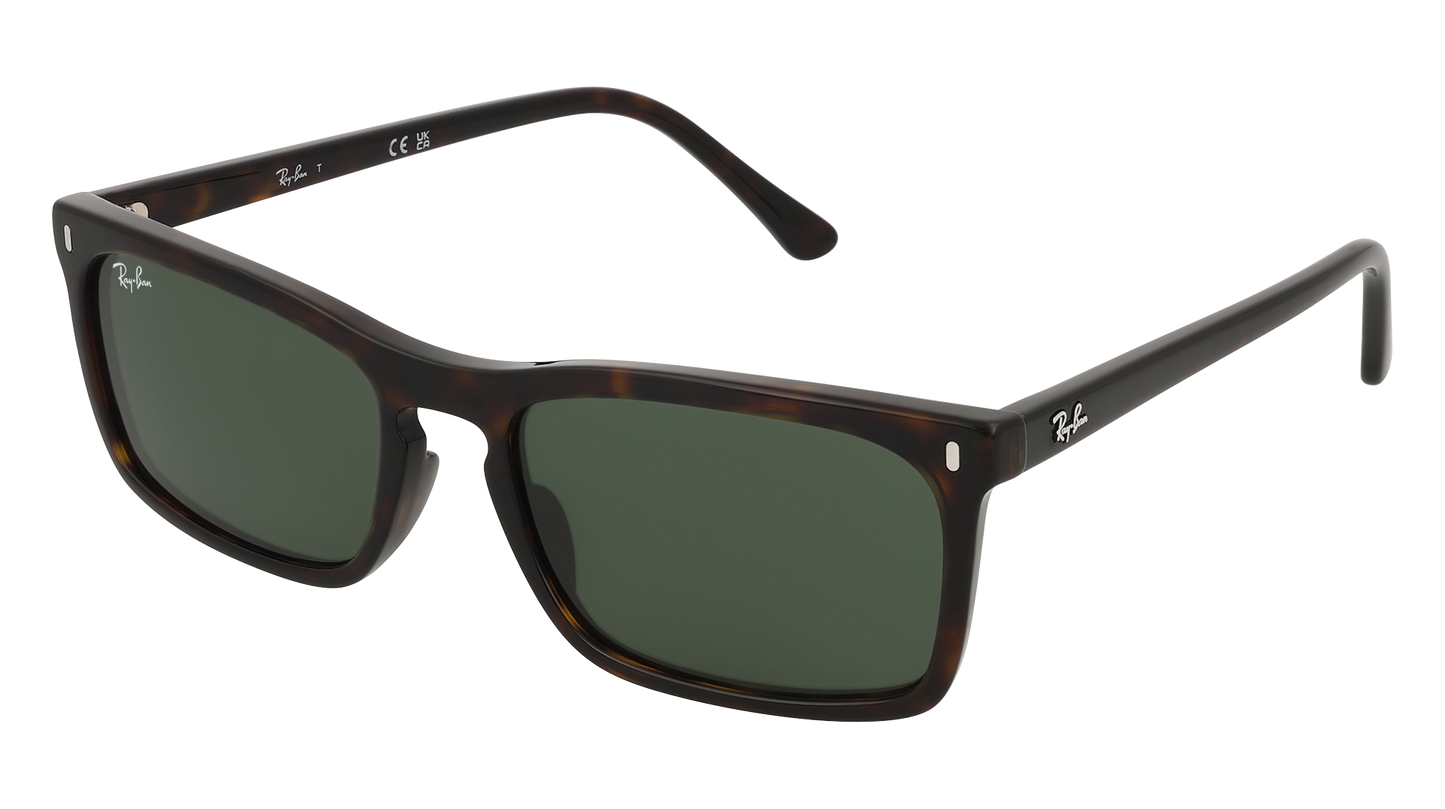 RayBan RB4435 - Replacement