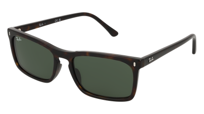 RayBan RB4435 - Replacement