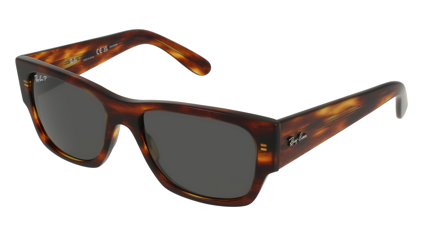 RayBan RB0947S CARLOS - Replacement