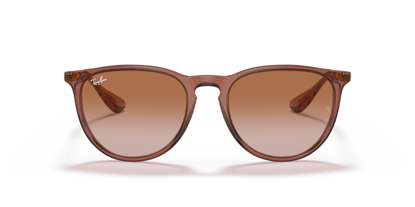 RayBan RB4171 Erika