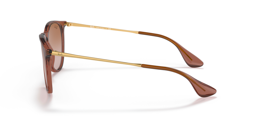 RayBan RB4171 Erika