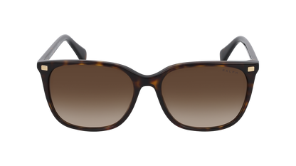 RALPH RA5293 VVCV - Replacement