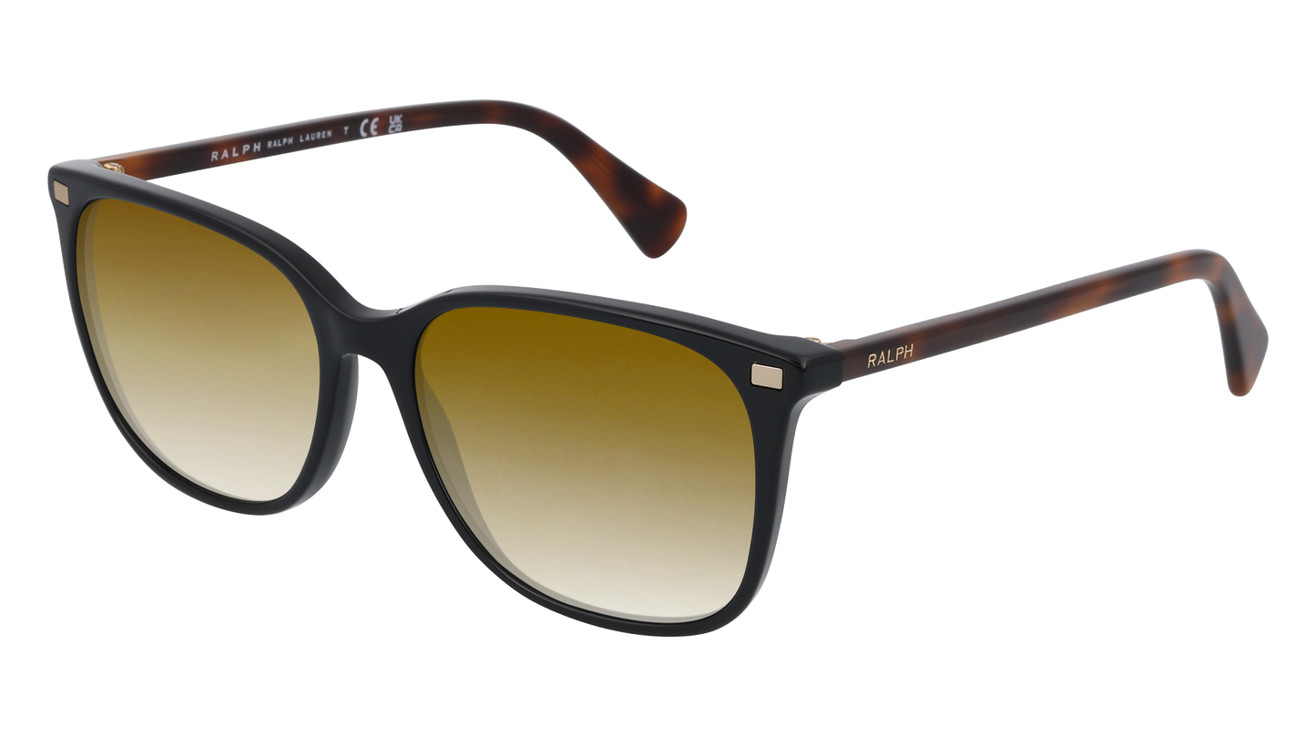 Shiny Black, Brown Gradient