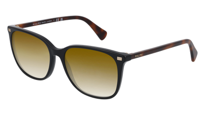 Shiny Black, Brown Gradient