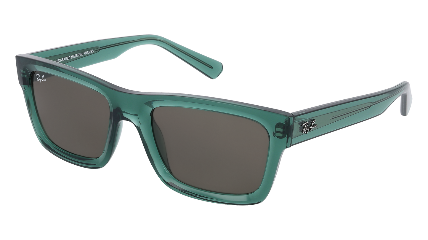 RayBan RB4396 WARREN - Replacement