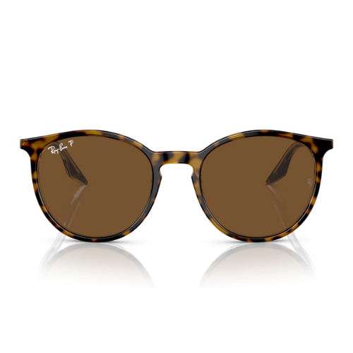 RayBan RB2204 - Replacement