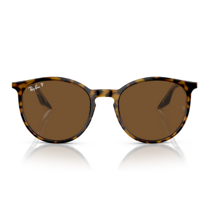 RayBan RB2204 - Replacement