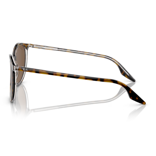 RayBan RB2204 - Replacement