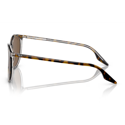 RayBan RB2204 - Replacement