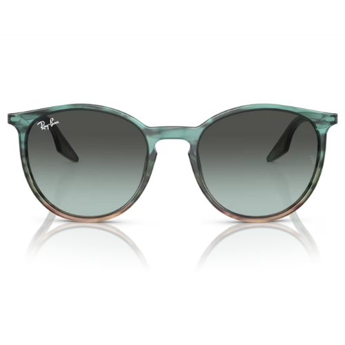 RayBan RB2204 - Replacement