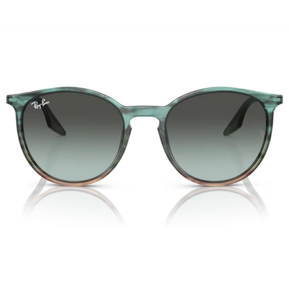 RayBan RB2204 - Replacement