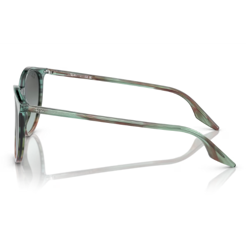 RayBan RB2204 - Replacement