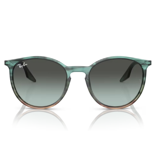 RayBan RB2204 - Replacement