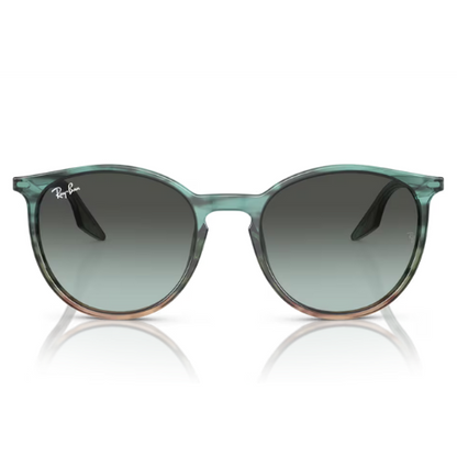 RayBan RB2204 - Replacement