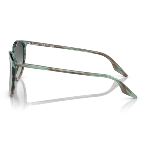 RayBan RB2204 - Replacement