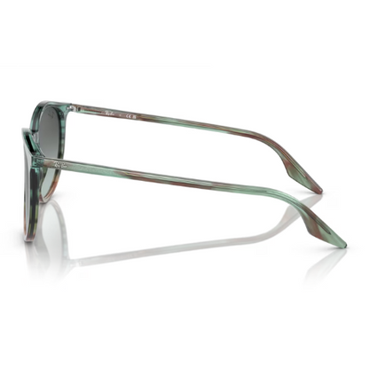 RayBan RB2204 - Replacement