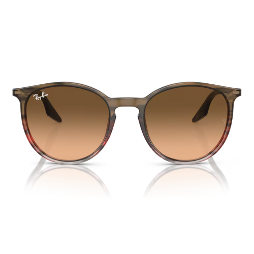 RayBan RB2204 - Replacement
