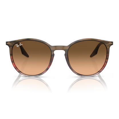 RayBan RB2204 - Replacement