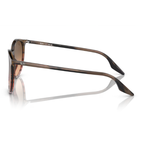 RayBan RB2204 - Replacement