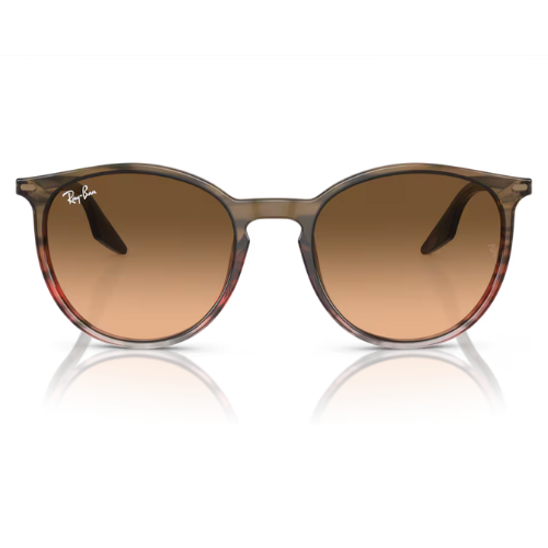 RayBan RB2204
