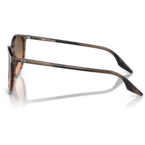 RayBan RB2204 - Replacement