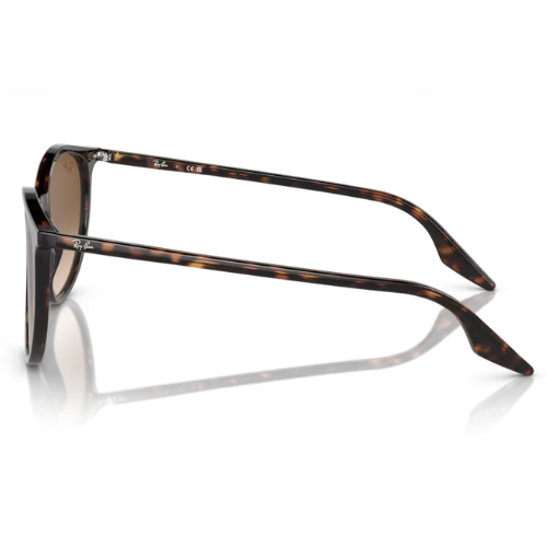 RayBan RB2204 - Replacement