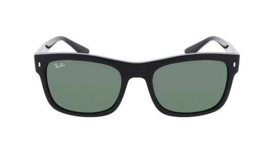 RayBan RB4428 - Replacement