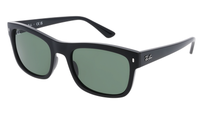 RayBan RB4428 - Replacement