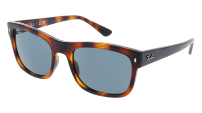 RayBan RB4428 - Replacement