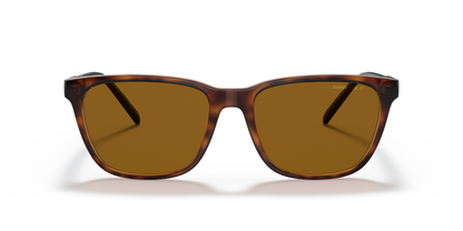 ARNETTE AN4291 CORTEX - Replacement