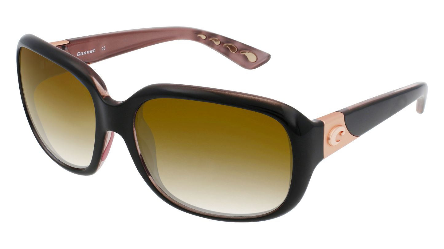 SHINY BLACK HIBISCUS, Brown Gradient