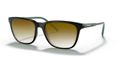 Black, Brown Gradient