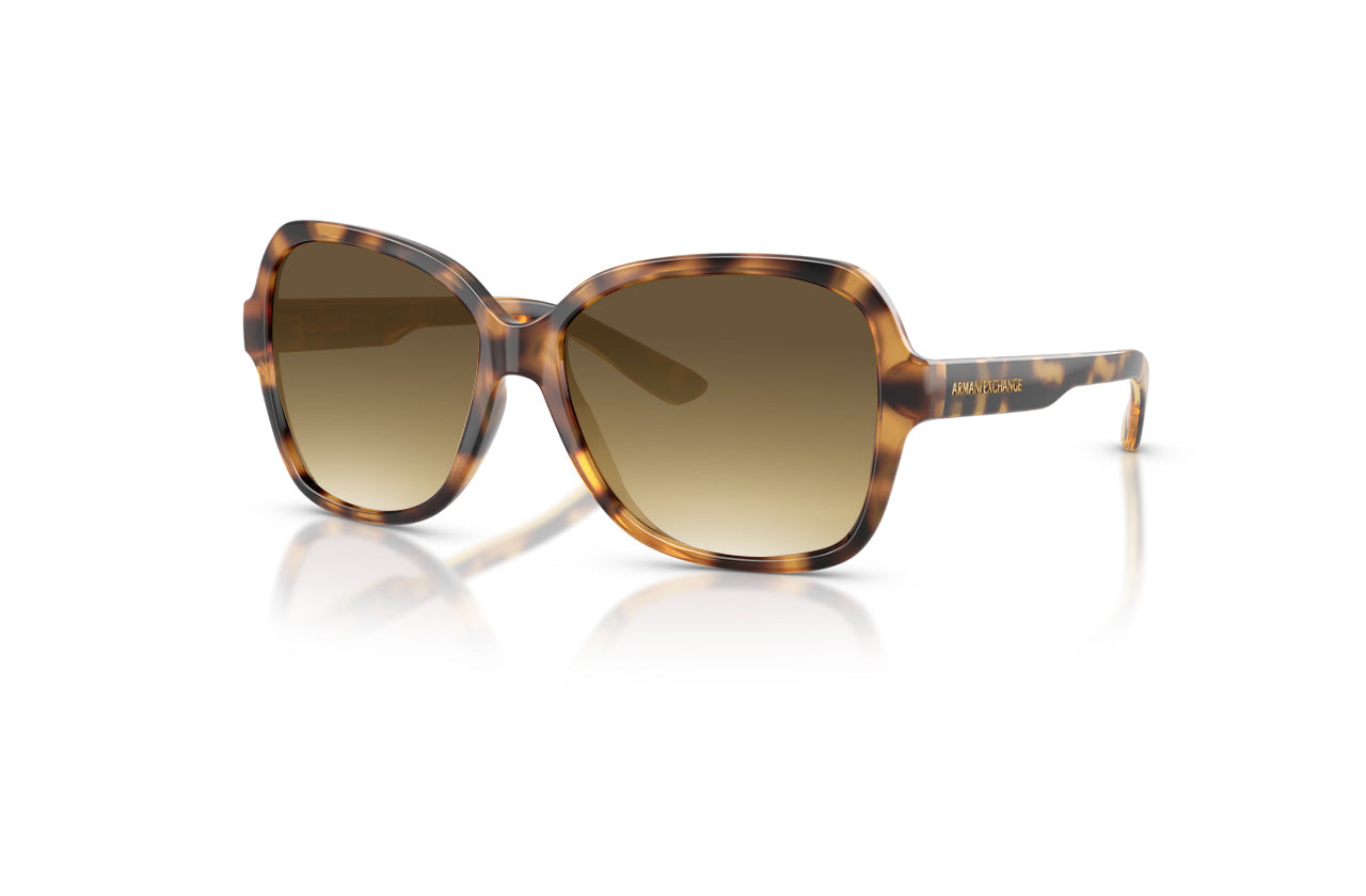 Shiny Havana, Brown Gradient