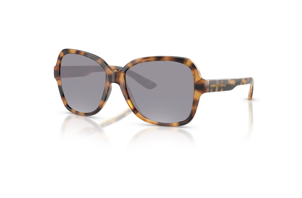 Shiny Havana, Grey-Polarized