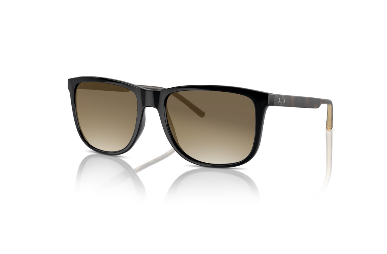 Shiny Black, Brown Gradient