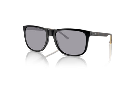 Shiny Black, Grey-Polarized