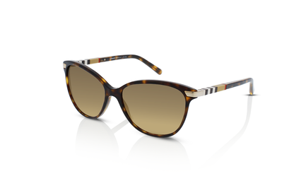 Dark Havana	, Brown Gradient