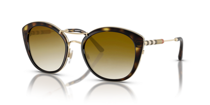 Dark Havana, Brown Gradient