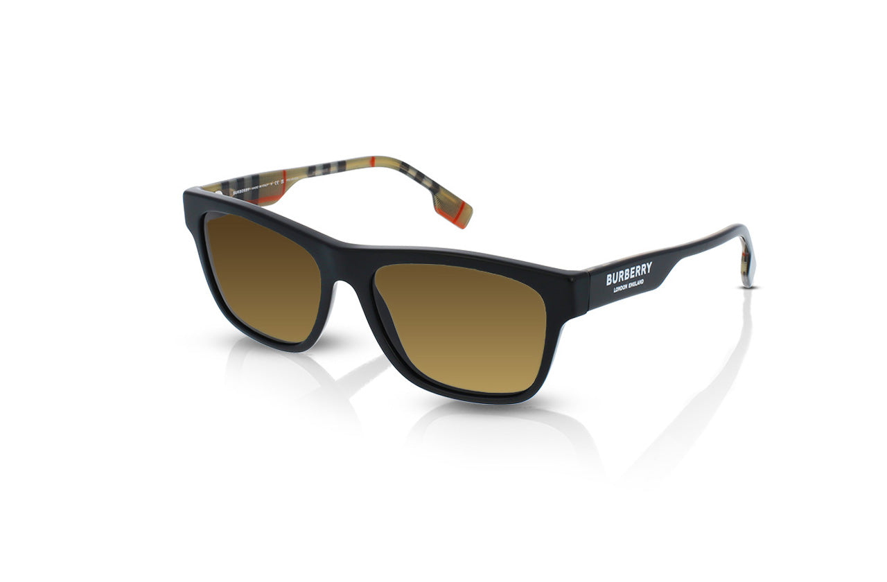 Black, Brown Gradient